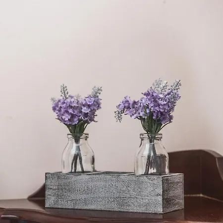 Downtown By Alma Appartement